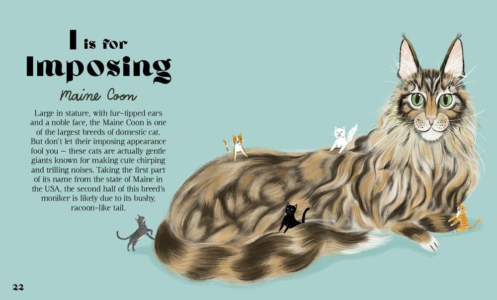 HarperCollins - Catphabet : A Cat Alphabet - Dear John