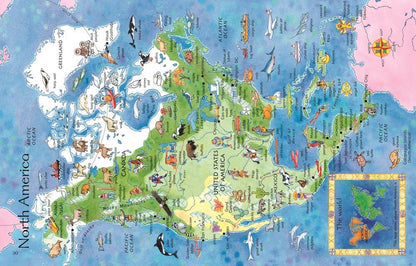 HarperCollins - Children's Picture Atlas: Usborne - Dear John