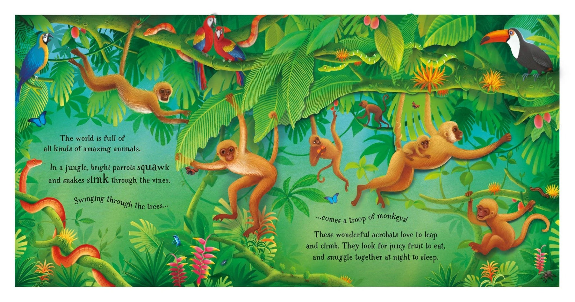 HarperCollins - Pop - Up Animals : Usborne - Dear John