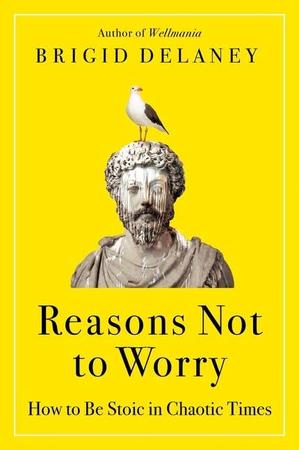 HarperCollins - Reasons Not to Worry : Brigid Delaney - Dear John