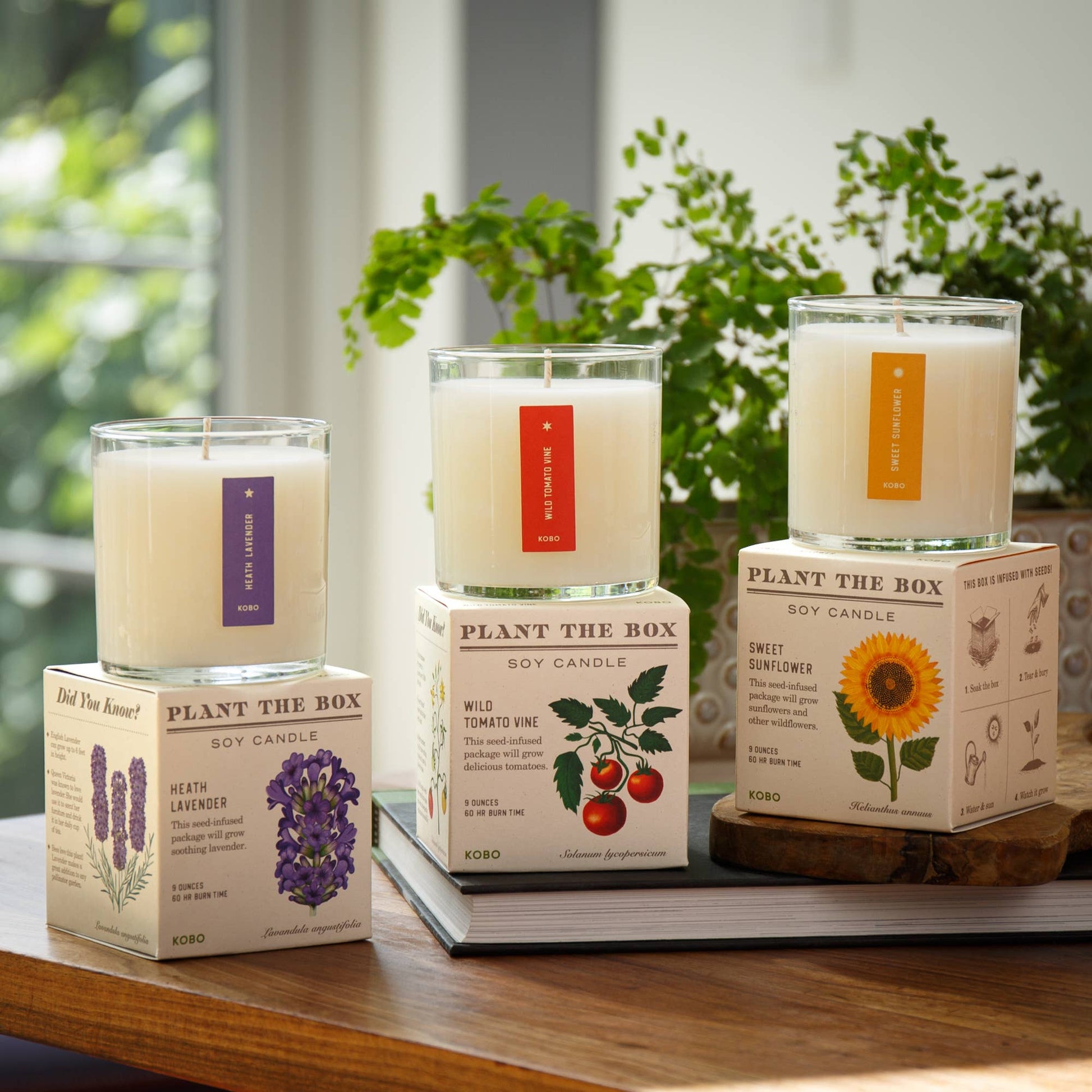 Heath Lavender - Plant the Box Candle - 9oz. - Dear John