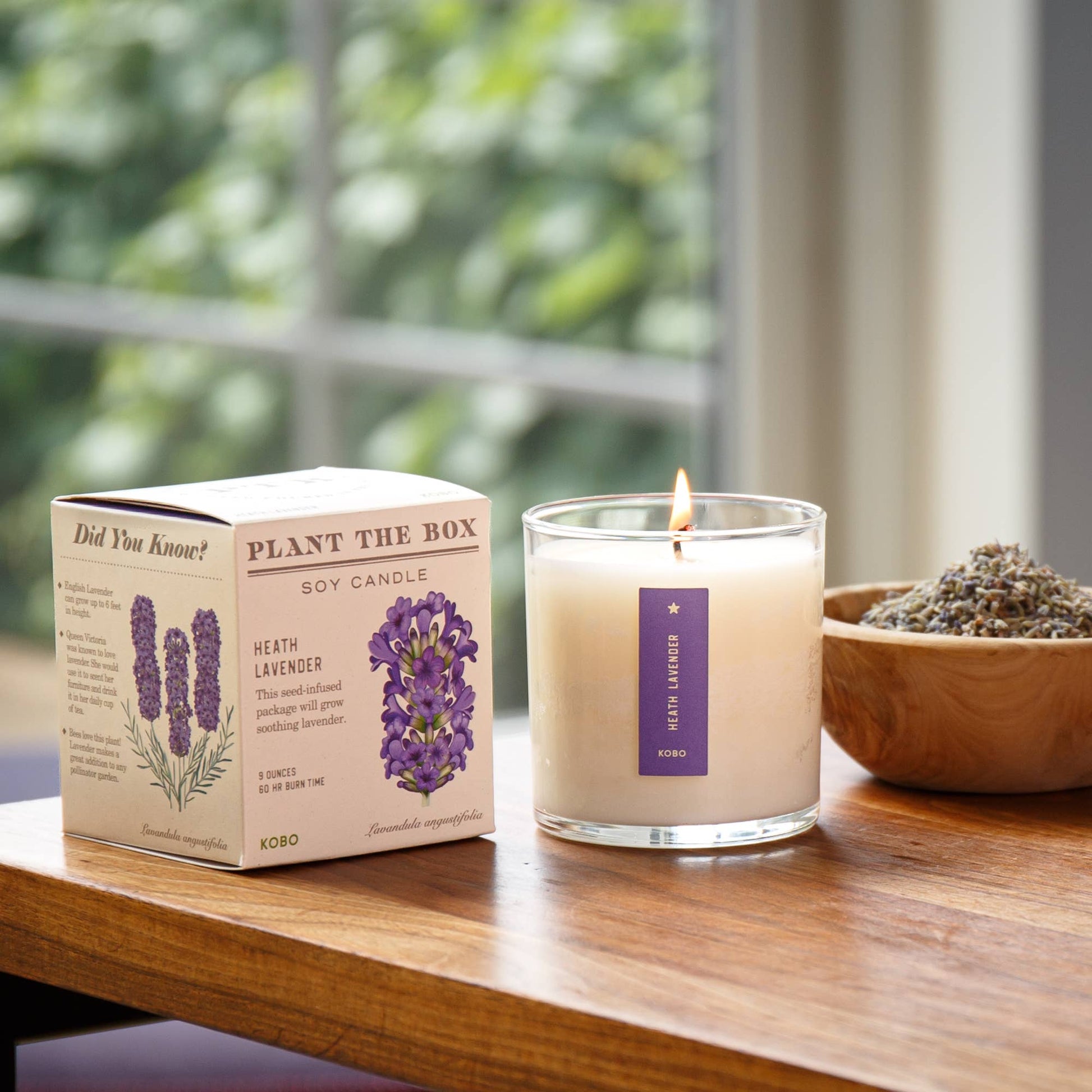 Heath Lavender - Plant the Box Candle - 9oz. - Dear John