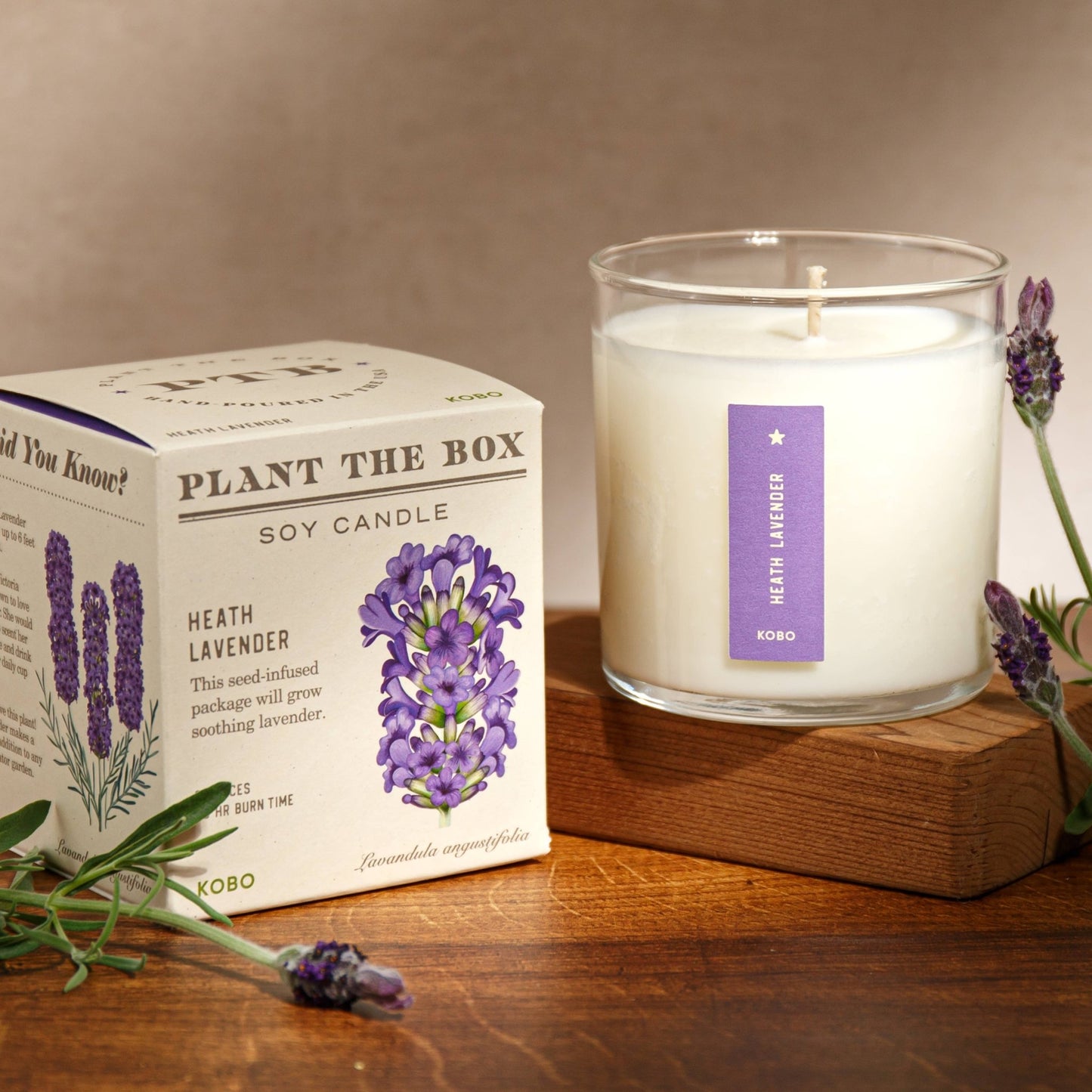 Heath Lavender - Plant the Box Candle - 9oz. - Dear John