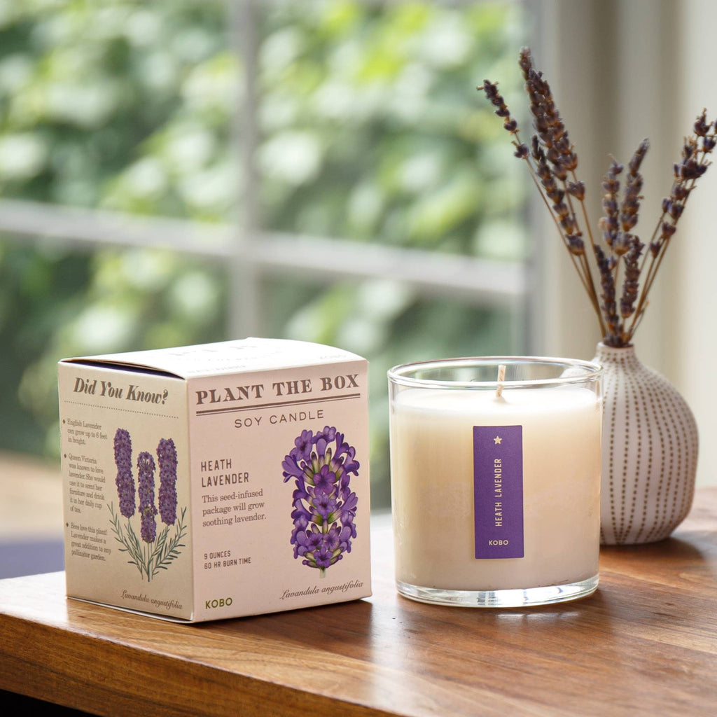 Heath Lavender - Plant the Box Candle - 9oz. - Dear John