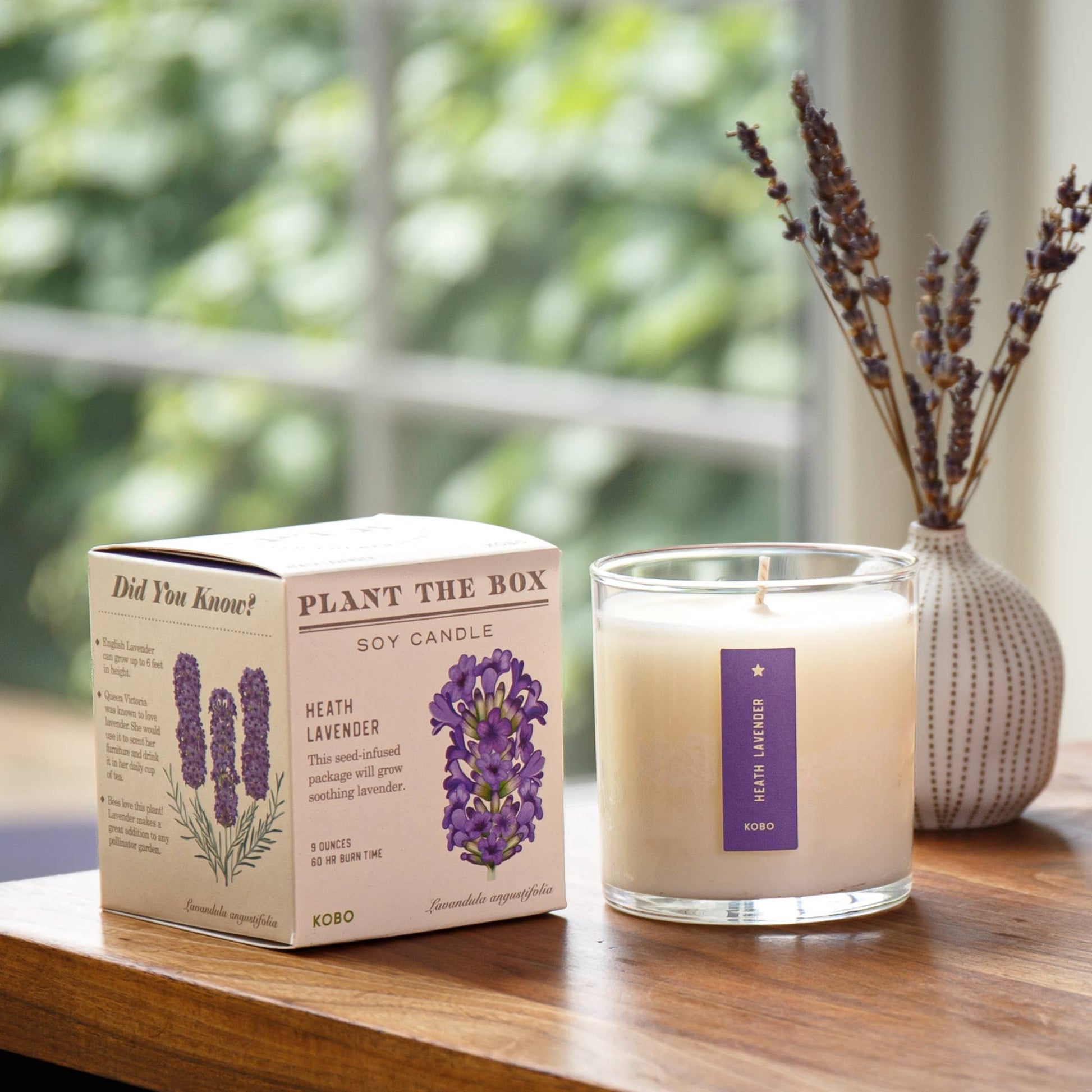 Heath Lavender - Plant the Box Candle - 9oz. - Dear John