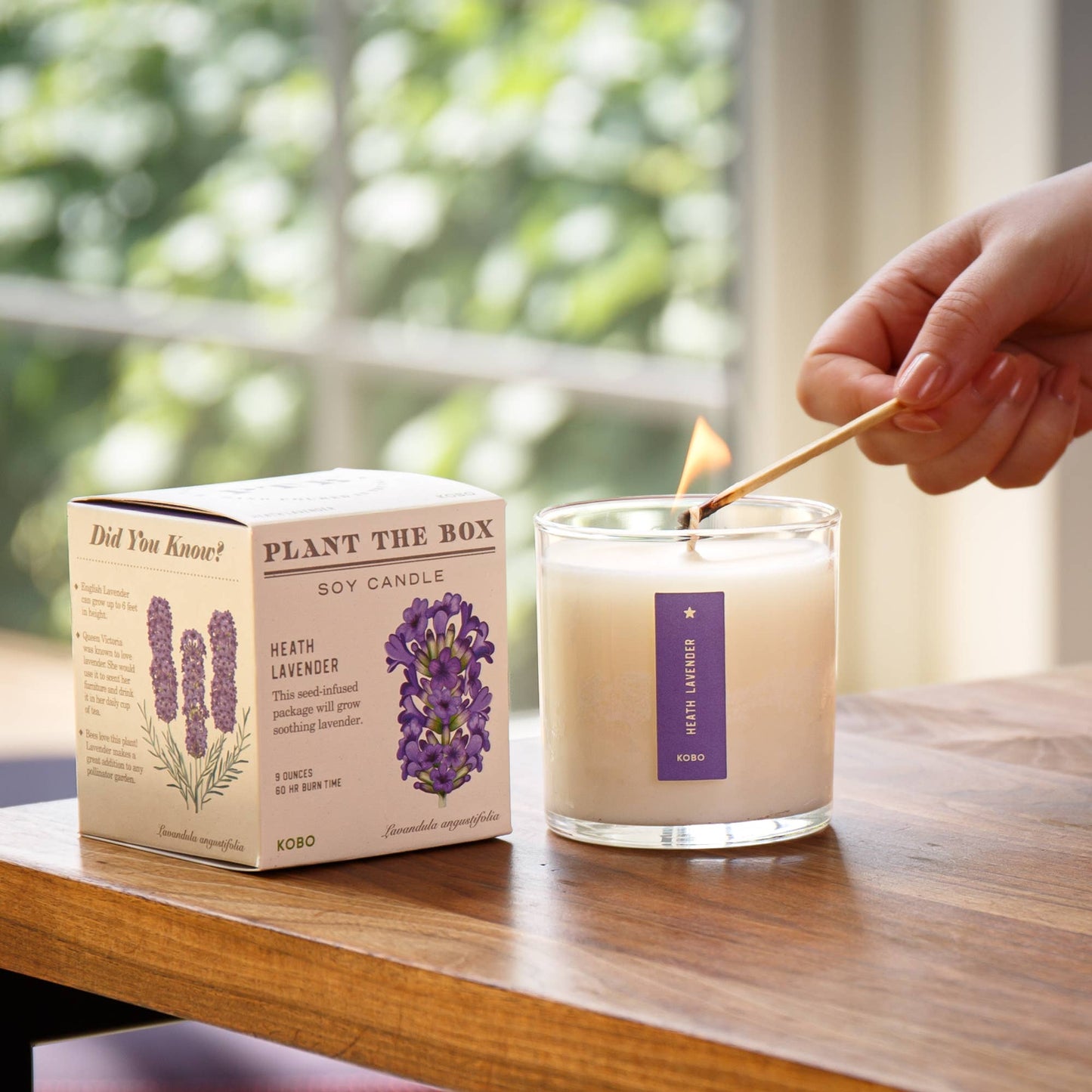 Heath Lavender - Plant the Box Candle - 9oz. - Dear John
