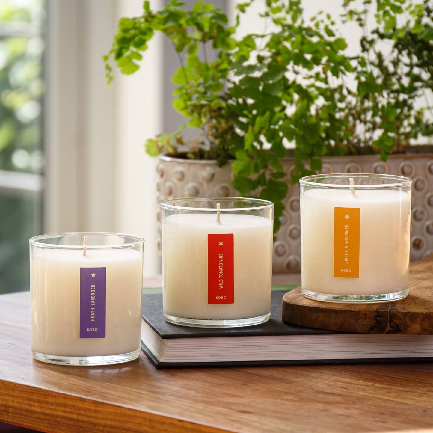 Heath Lavender - Plant the Box Candle - 9oz. - Dear John