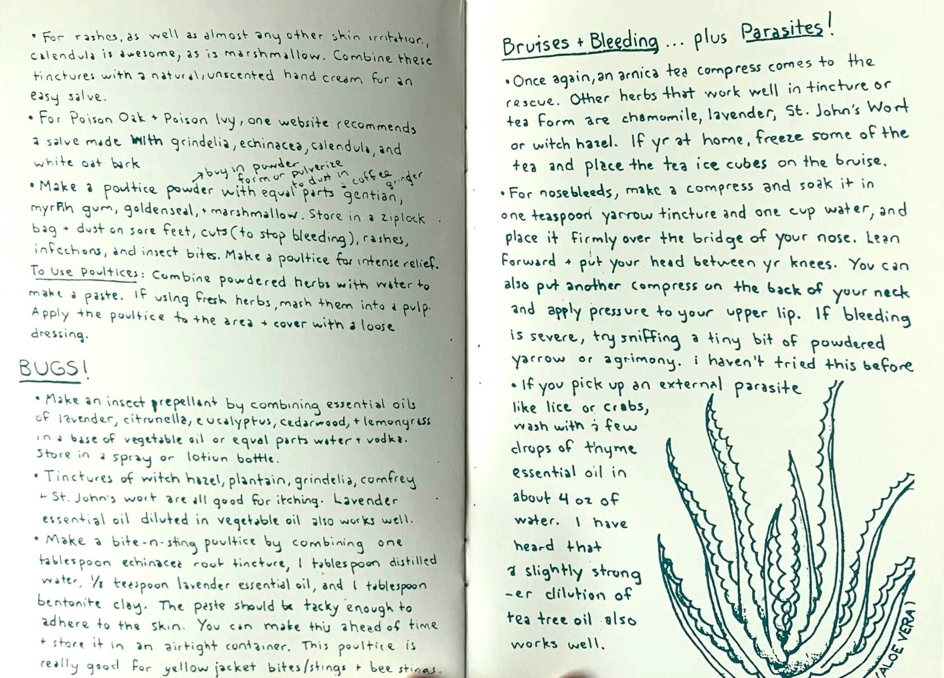 Herbal First Aid: Assembling a Natural First Aid Kit (Zine) - Dear John