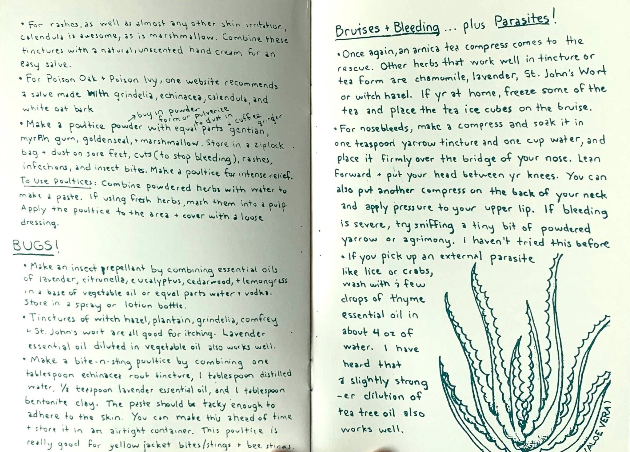 Herbal First Aid: Assembling a Natural First Aid Kit (Zine) - Dear John