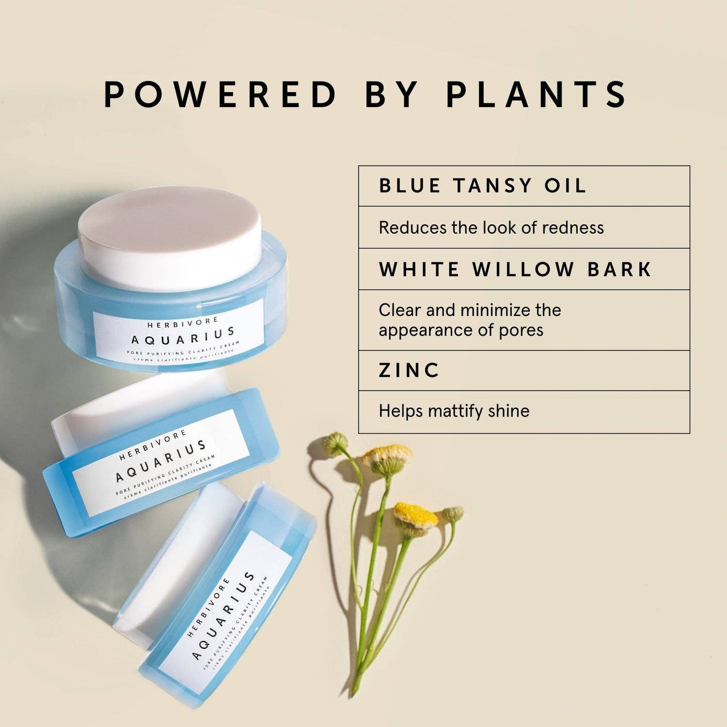 Herbivore Botanicals - Aquarius Pore Purifying Clarity Cream - Dear John