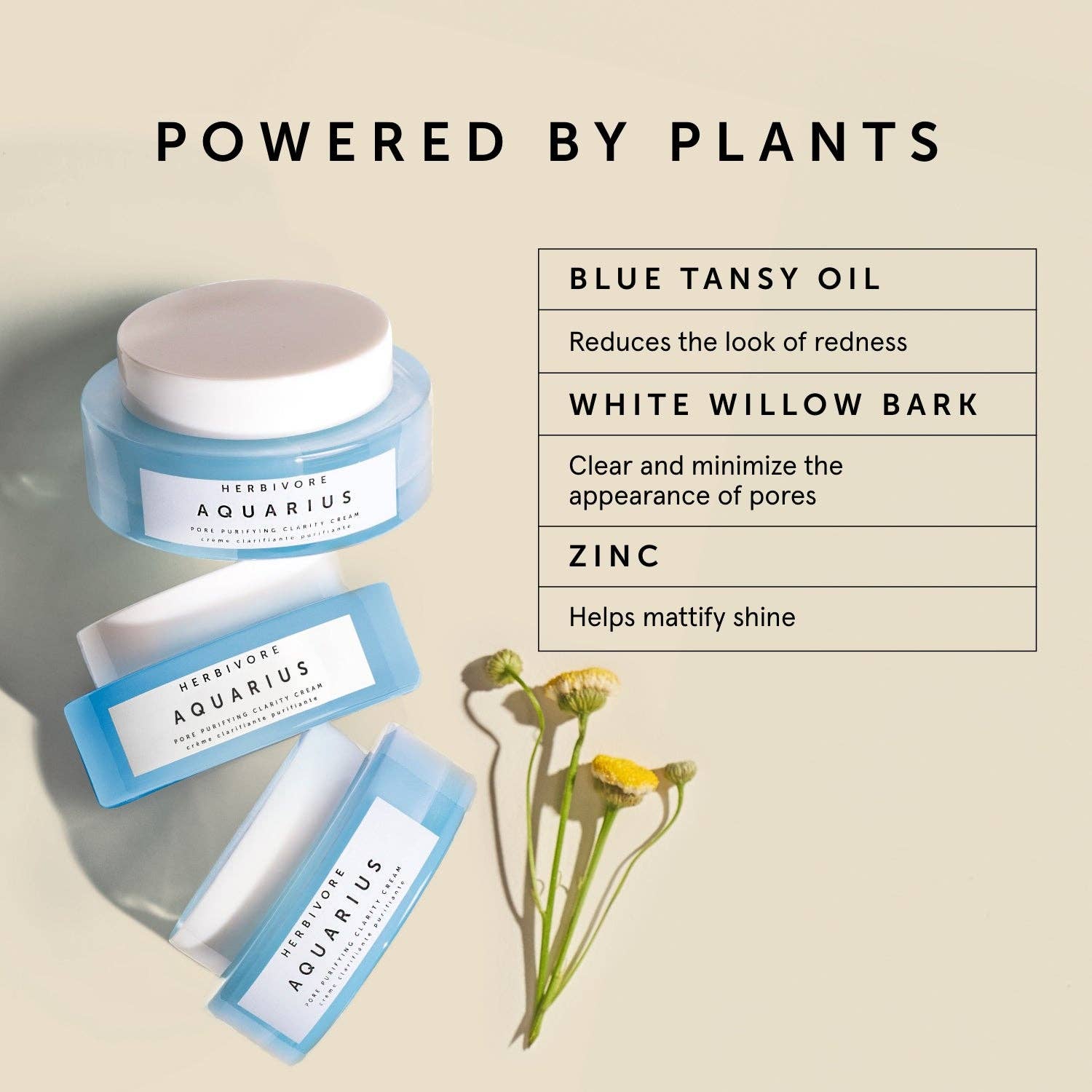 Herbivore Botanicals - Aquarius Pore Purifying Clarity Cream - Dear John