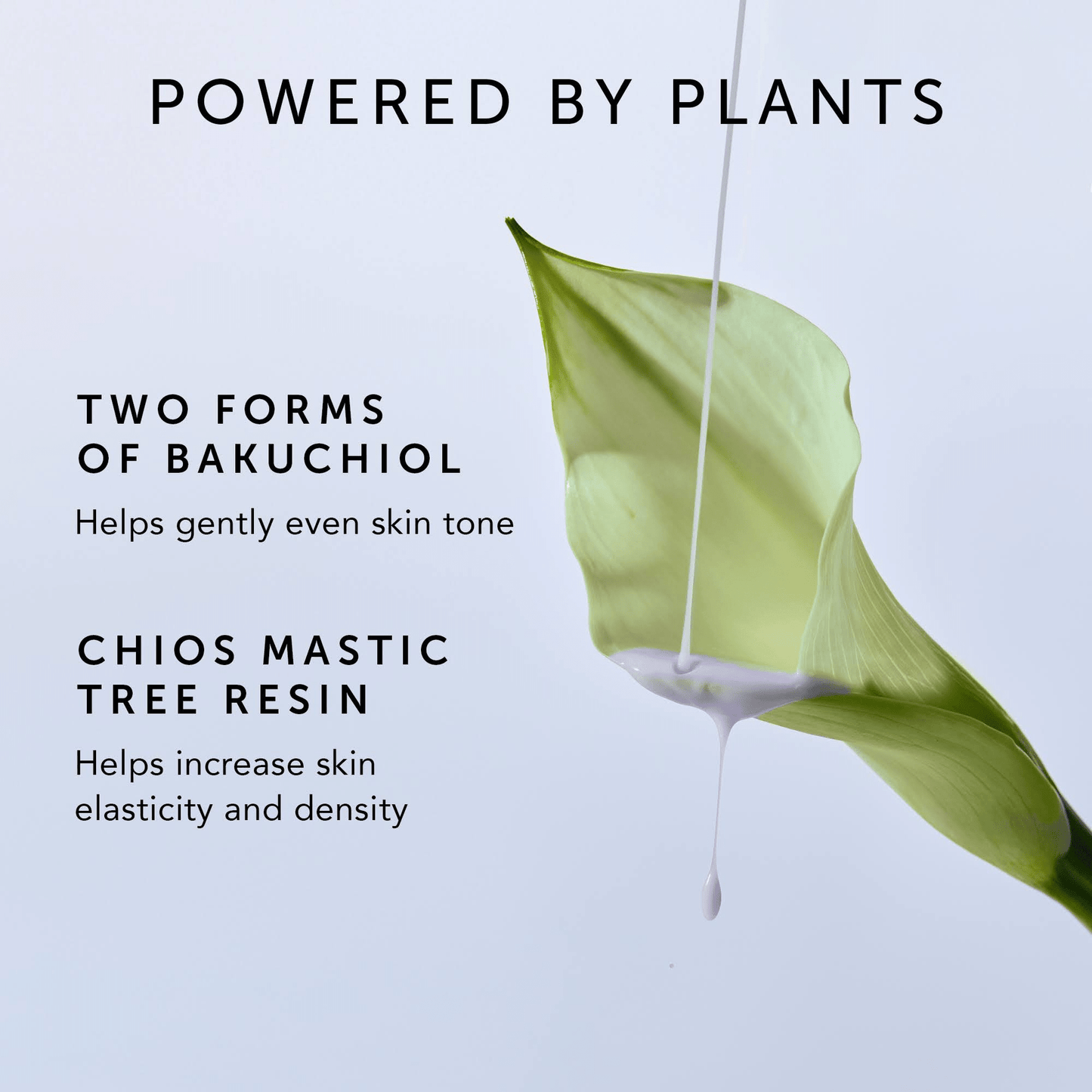 Herbivore Botanicals - BAKUCHIOL Dual - Retinol Alternative Serum - Dear John