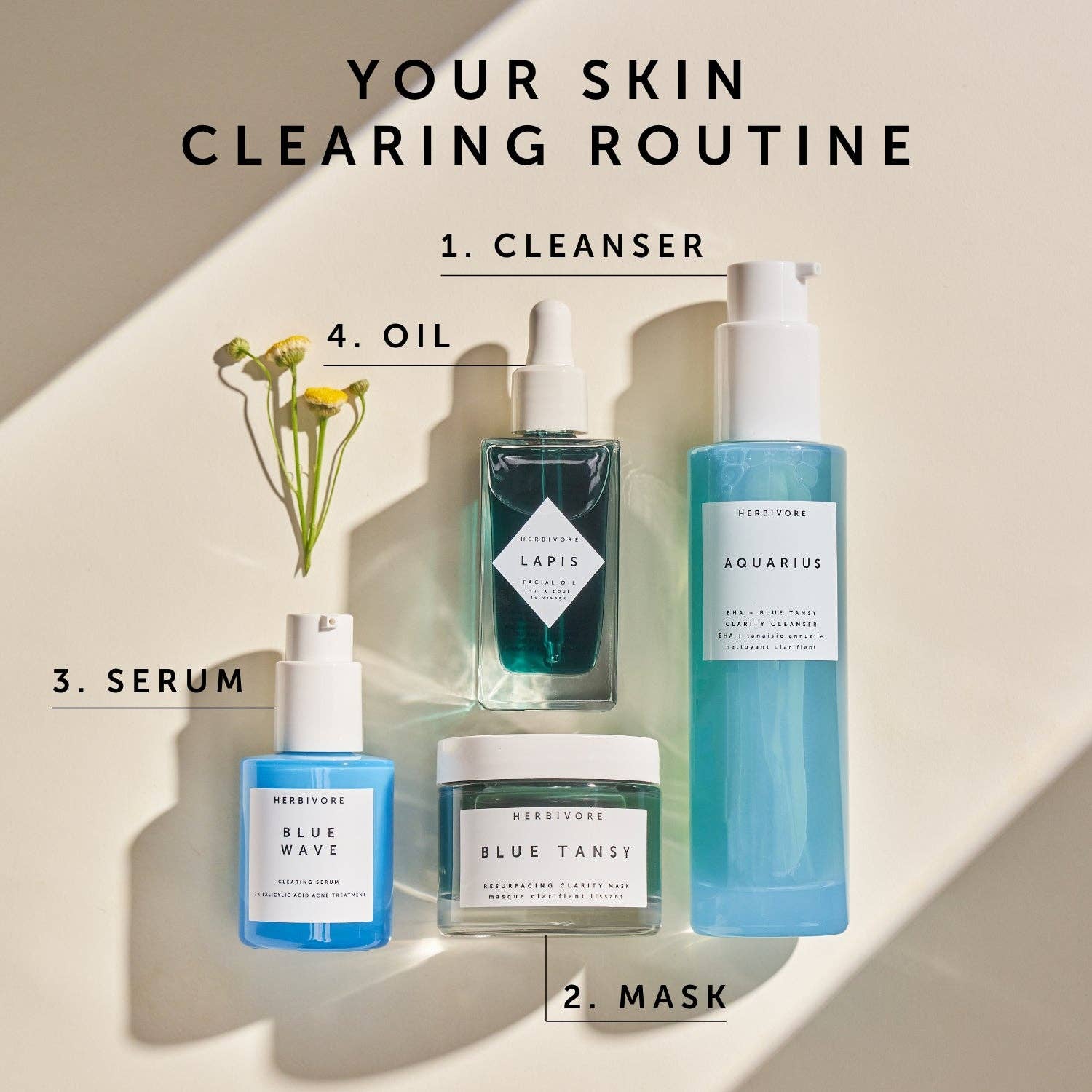 Herbivore Botanicals - BLUE TANSY Invisible Pores Resurfacing Clarity Mask - Dear John