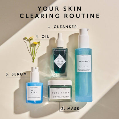 Herbivore Botanicals - BLUE TANSY Invisible Pores Resurfacing Clarity Mask - Dear John