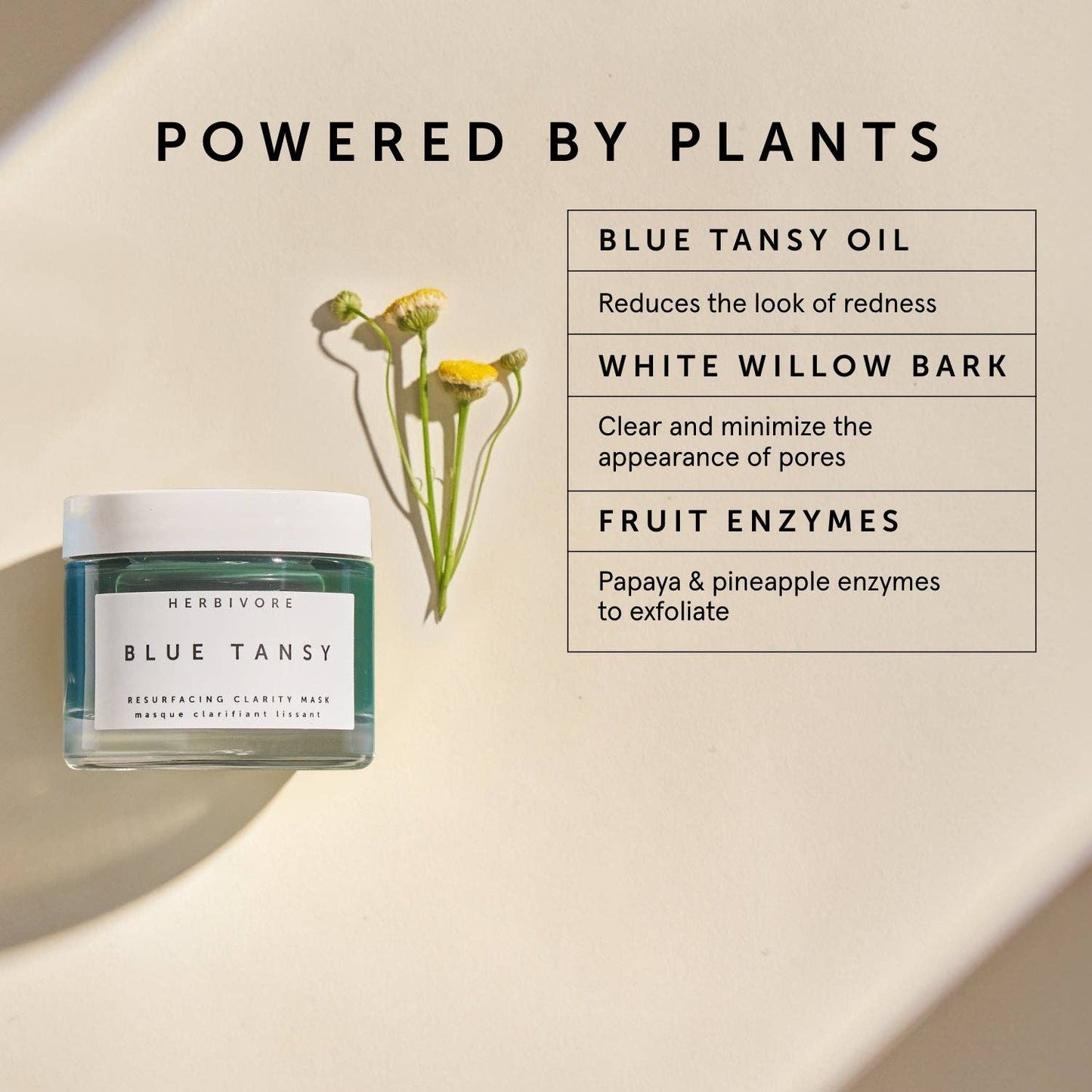 Herbivore Botanicals - BLUE TANSY Invisible Pores Resurfacing Clarity Mask - Dear John