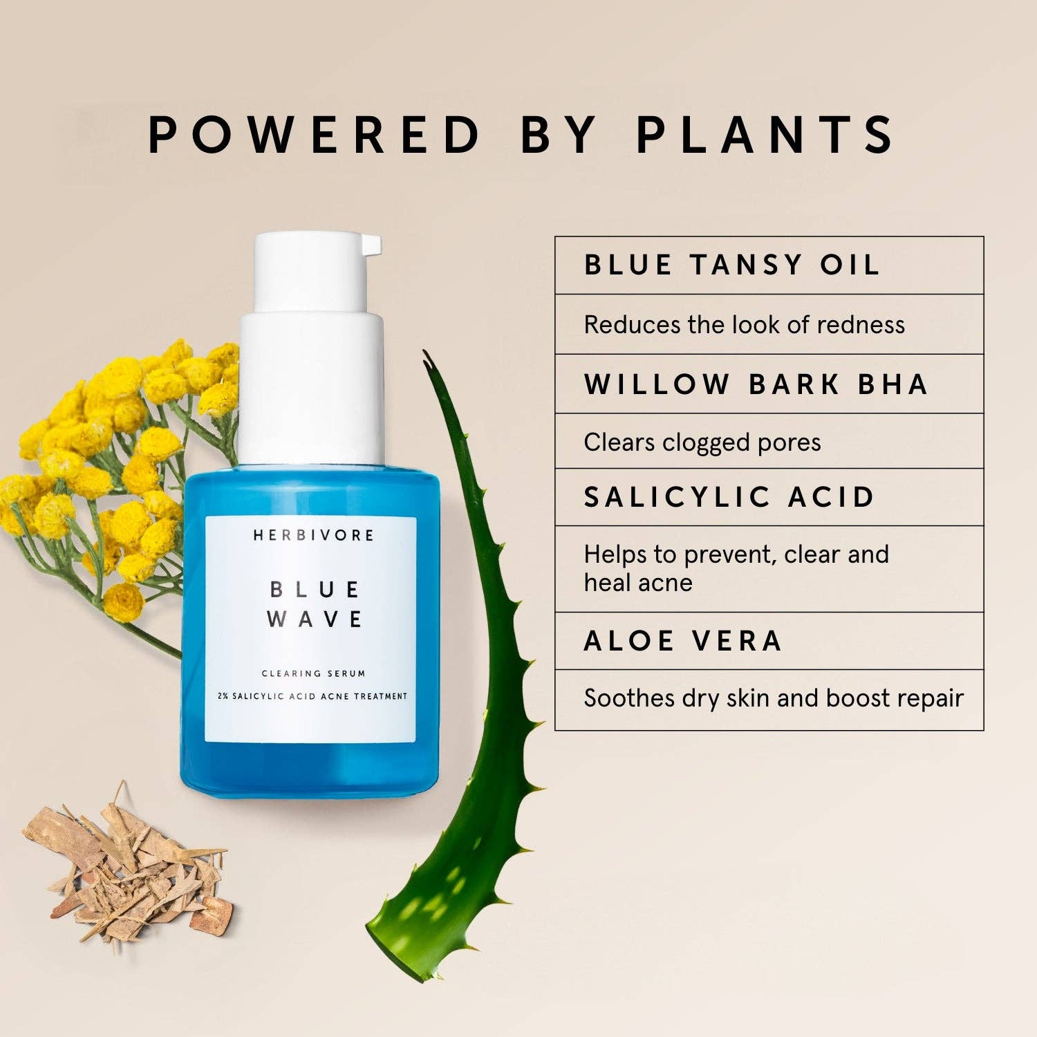Herbivore Botanicals - BLUE WAVE 2% Salicylic Acid Medicated Acne Clearing Serum - Dear John