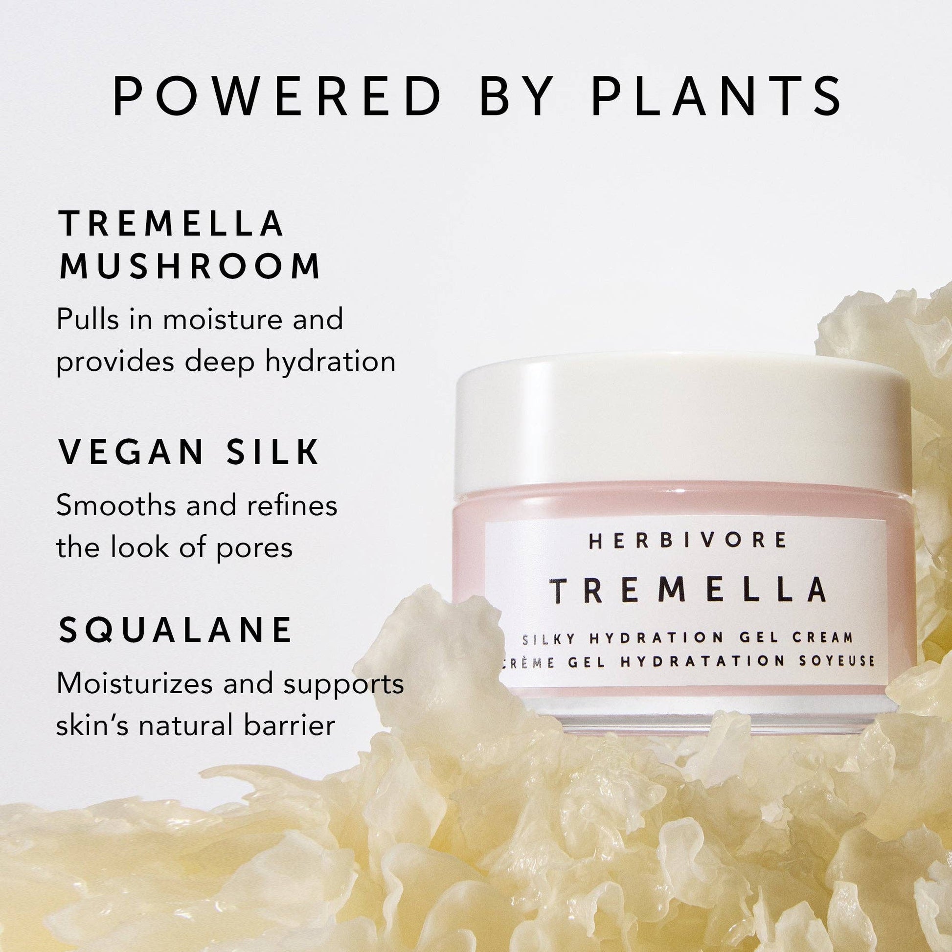 Herbivore Botanicals - TREMELLA Silky Hydration Gel Cream - Dear John