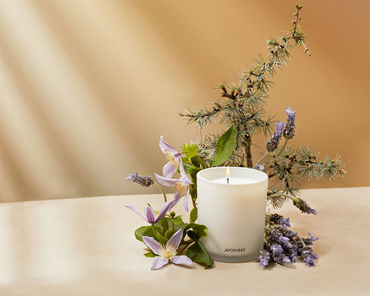 Hinoki Lavender Classic Candle - Dear John