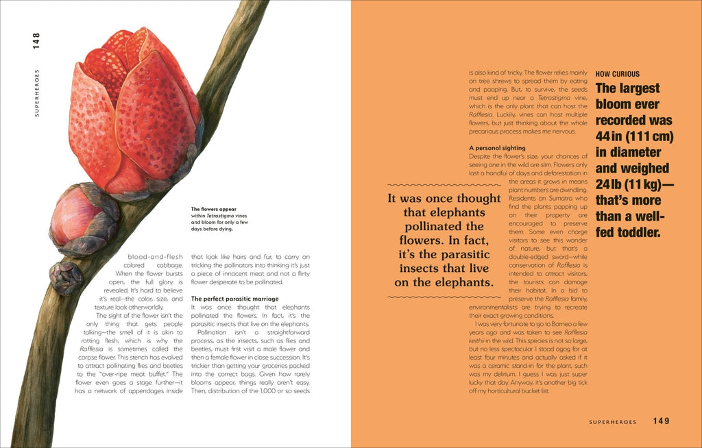 Hortus Curious - Dear John