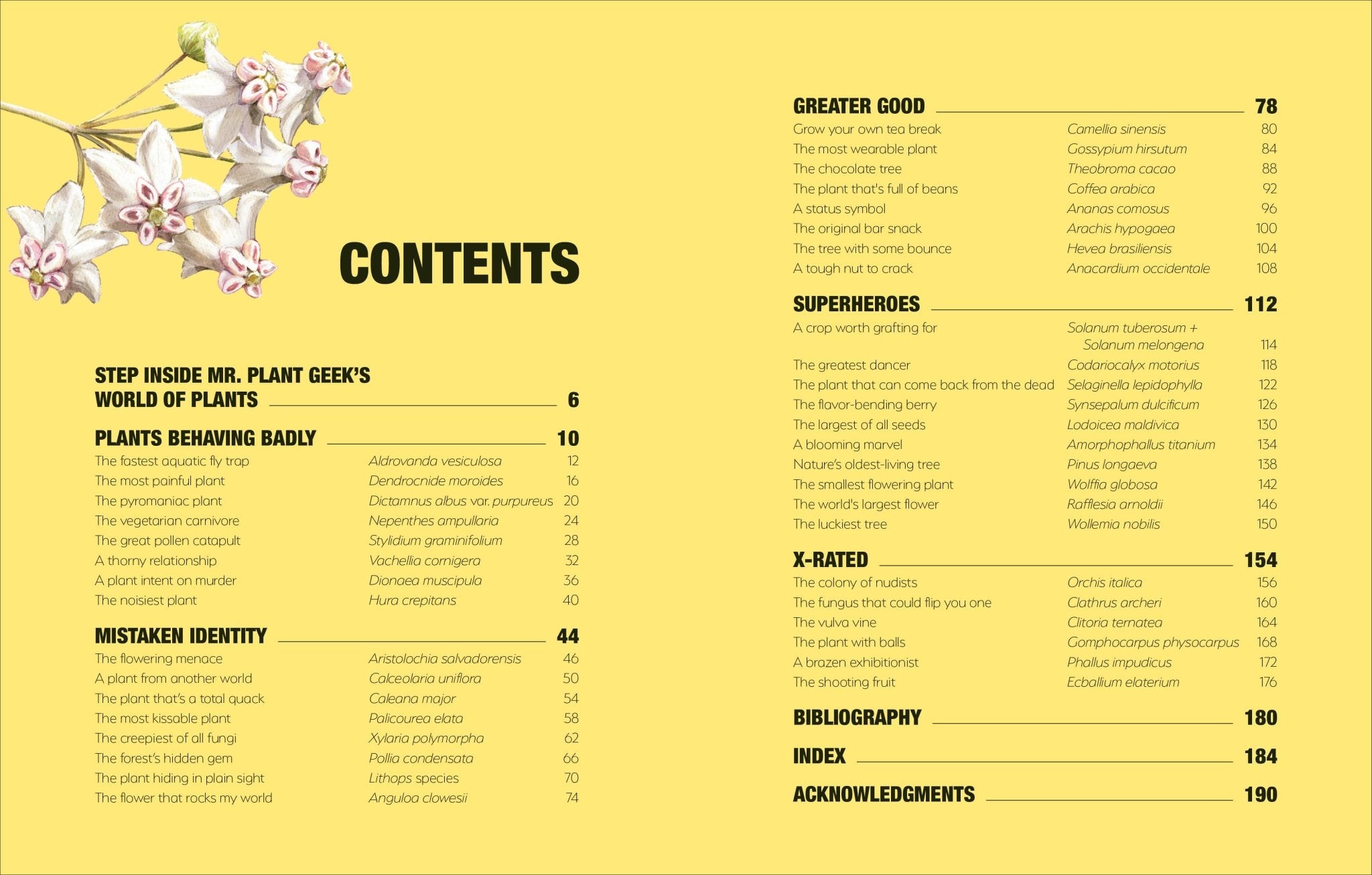 Hortus Curious - Dear John