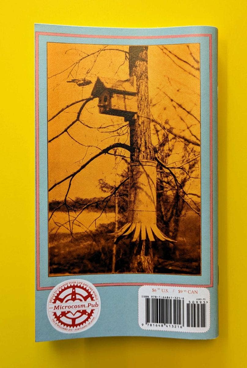 How to Attract Birds (Zine) - Dear John