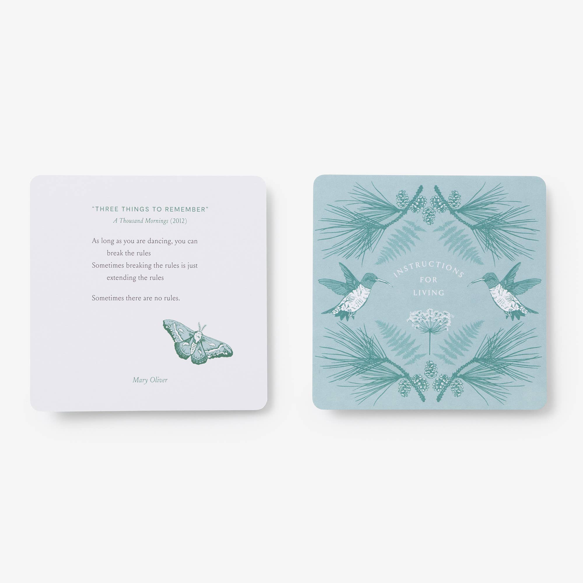 Instructions for Living - Deck - Dear John