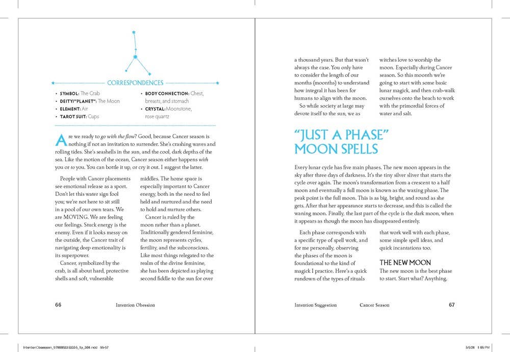 Intention Obsession — Rituals & Witchcraft for Every Season - Dear John