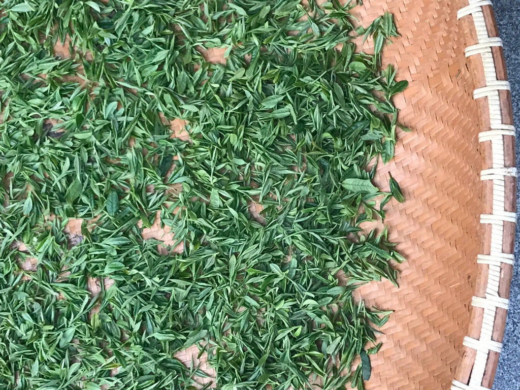 Jasmine Silver Tip - Dear John