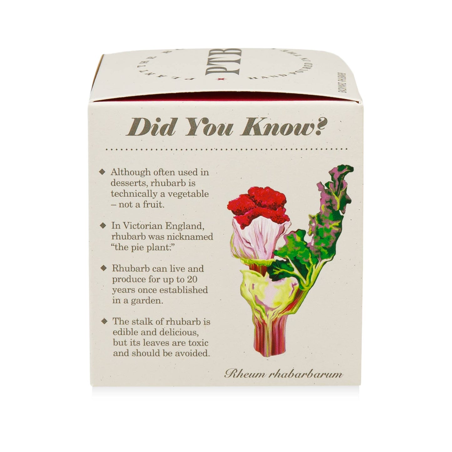 KOBO - Backyard Rhubarb - Plant the Box Candle - 9oz. - Dear John