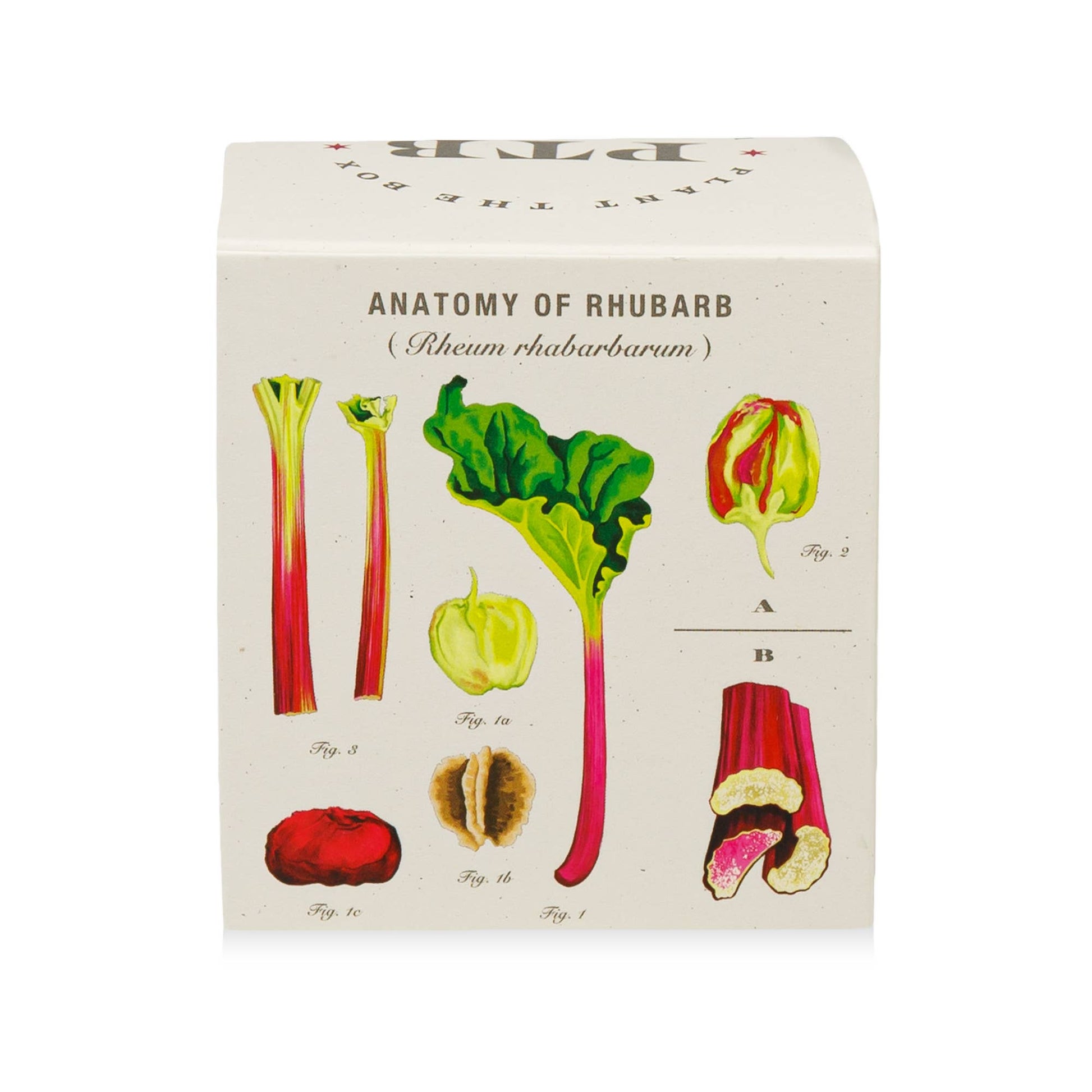 KOBO - Backyard Rhubarb - Plant the Box Candle - 9oz. - Dear John