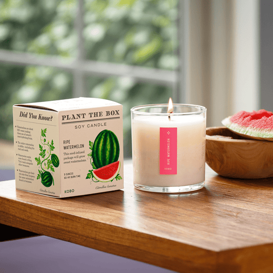 KOBO - Ripe Watermelon - Plant the Box Candle - 9oz. - Dear John
