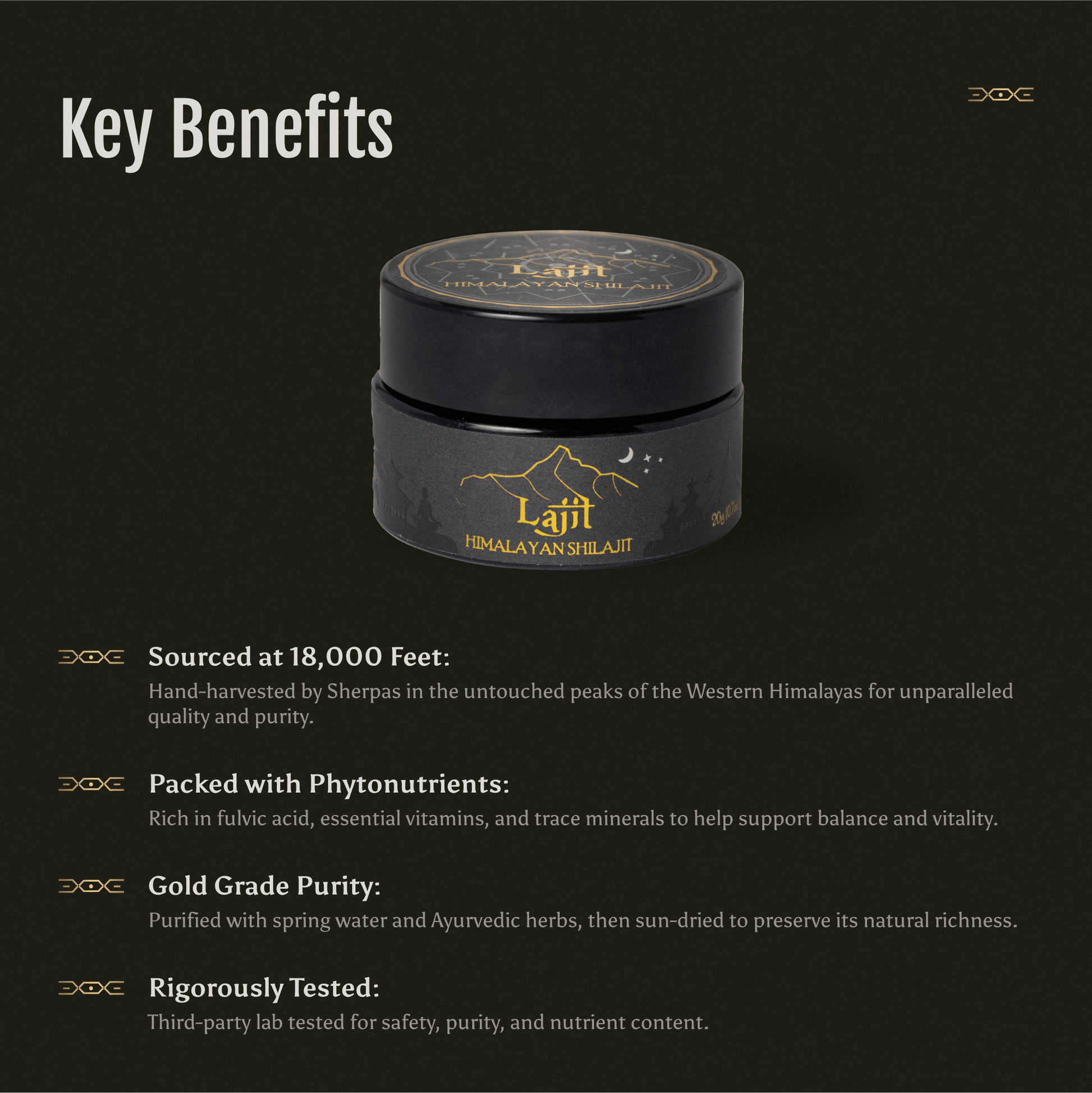 Lajit Gold - Lajit Himalayan Shilajit Resin - Dear John