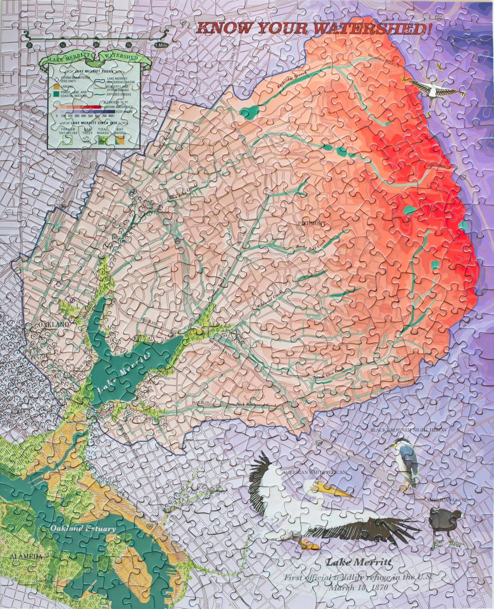 Lake Merritt Watershed 500 - piece Jigsaw Puzzle - Dear John