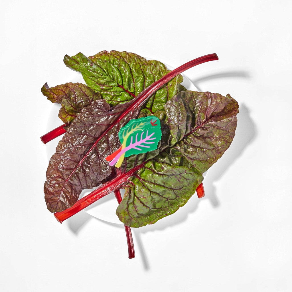 Large Rainbow Chard Hair Claw Clip - Dear John