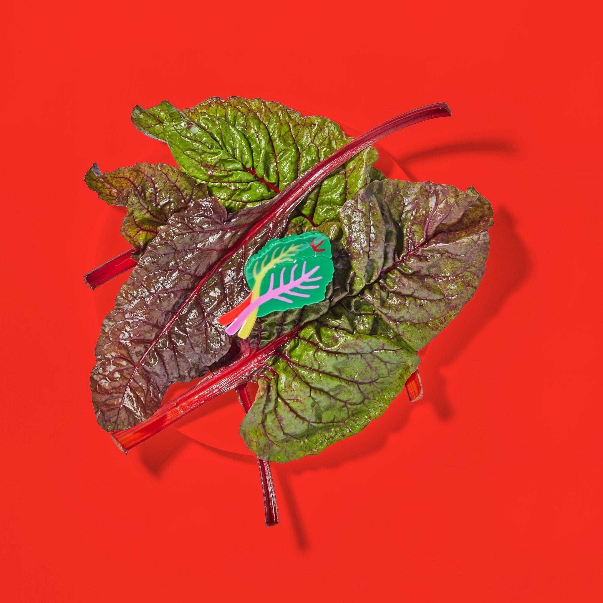 Large Rainbow Chard Hair Claw Clip - Dear John