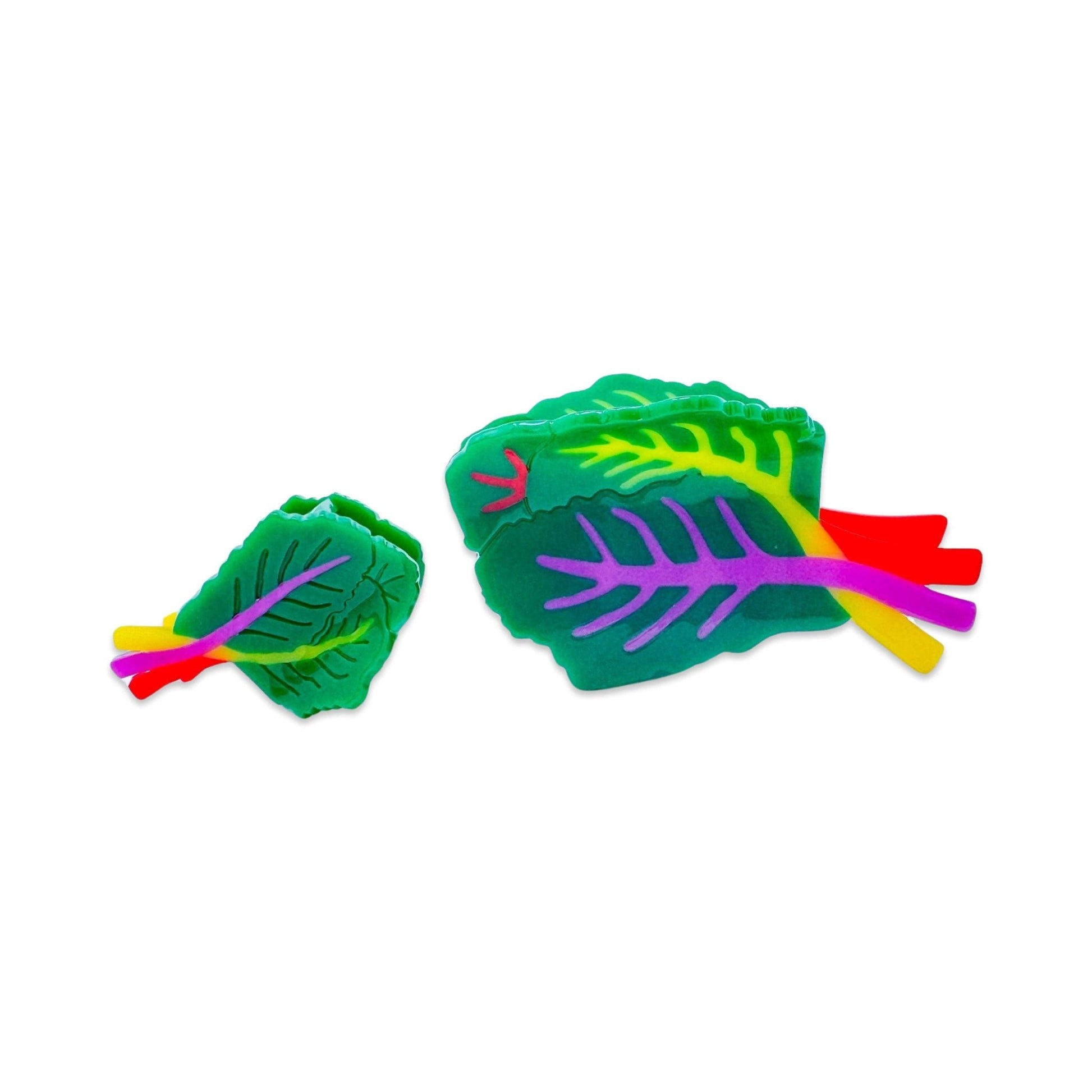 Large Rainbow Chard Hair Claw Clip - Dear John