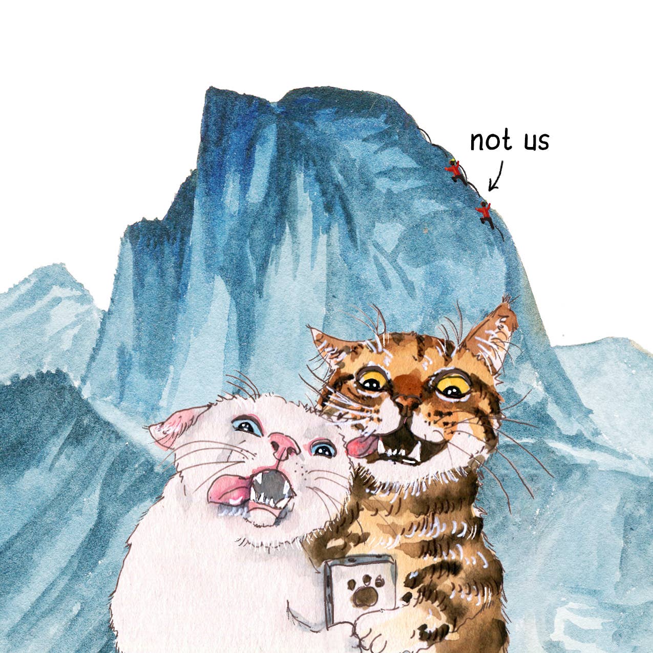 Liyana Studio - Cats Couple Adventure Funny Anniversary Card - Dear John