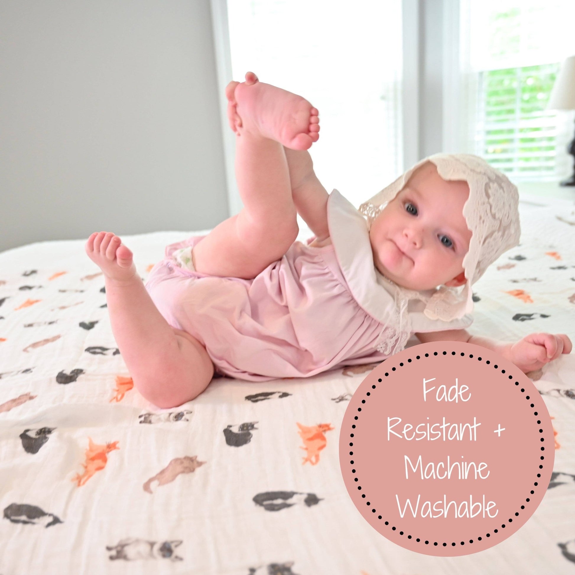 LollyBanks - Baby Muslin Swaddle Blanket 47x47 Purr-fect - Dear John