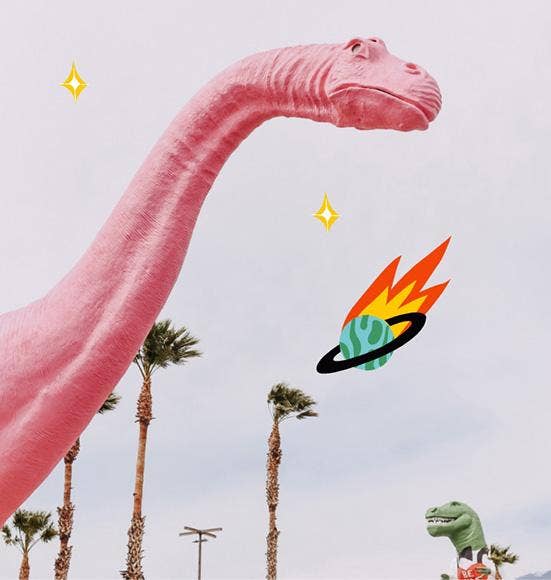 Lost in Translation - EDP 50ml - a woody spicy aquatic scent - Dear John