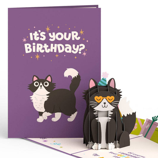 Lovepop Cards - Your Gift Is in the Litterbox Birthday Cat Pop-Up Card 5x7" - Dear John