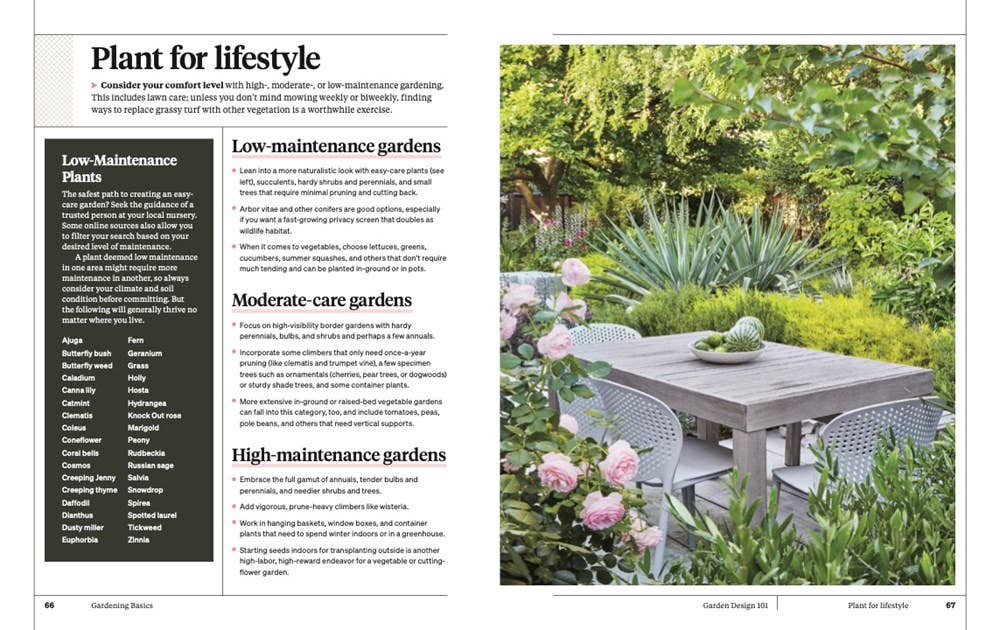 Martha Stewart's Gardening Handbook: Martha Stewart - Dear John