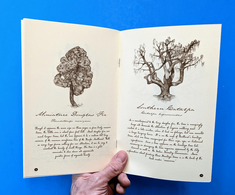 Microcosm Publishing & Distribution - Beginner's Guide to Treewatching (Zine) - Dear John