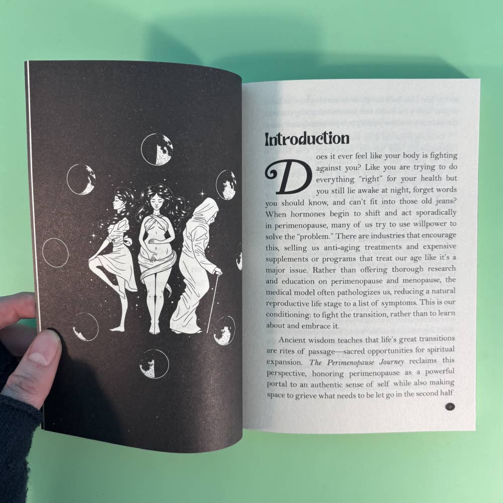 Microcosm Publishing & Distribution - The Perimenopause Journey: Finding Our True Selves Amidst Hormonal Chaos, Depression, and Rage - Dear John