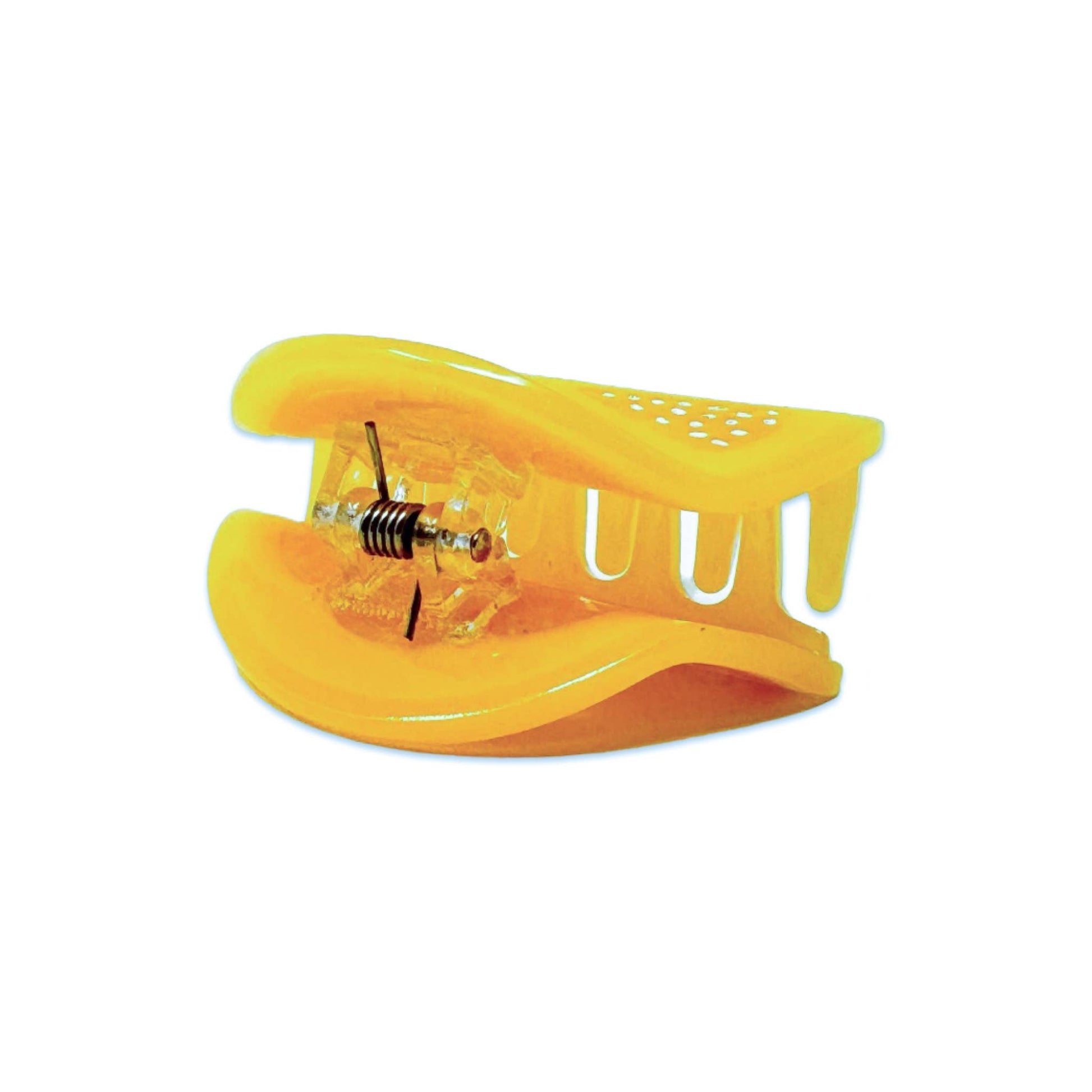 Mini Lemon Slice Hair Claw Clip - Dear John