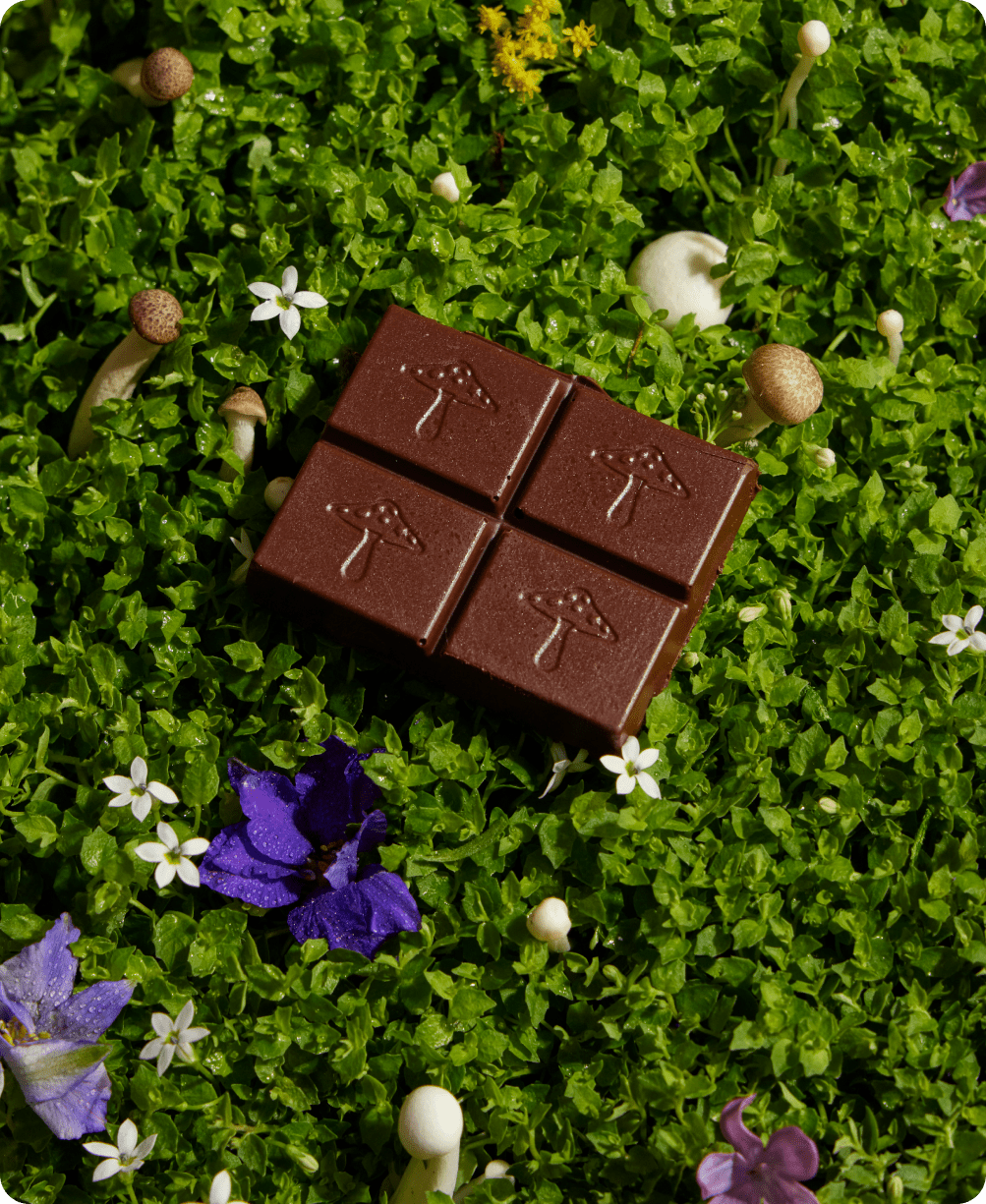 Nightcap — mushroom chocolate supplement for deep sleep - Dear John
