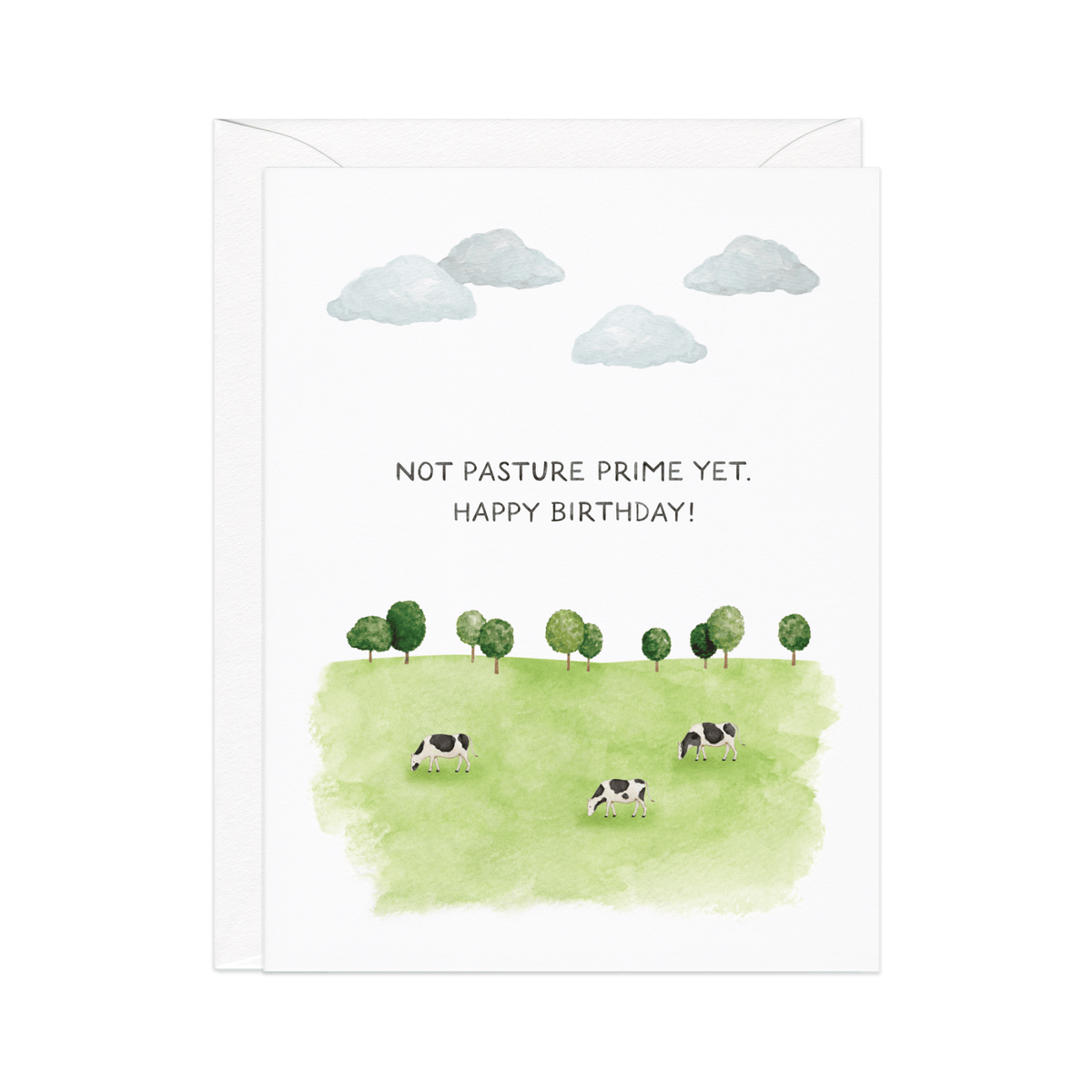 Not Past Your Prime Yet — Funny Cow Pasture Birthday Card - Dear John