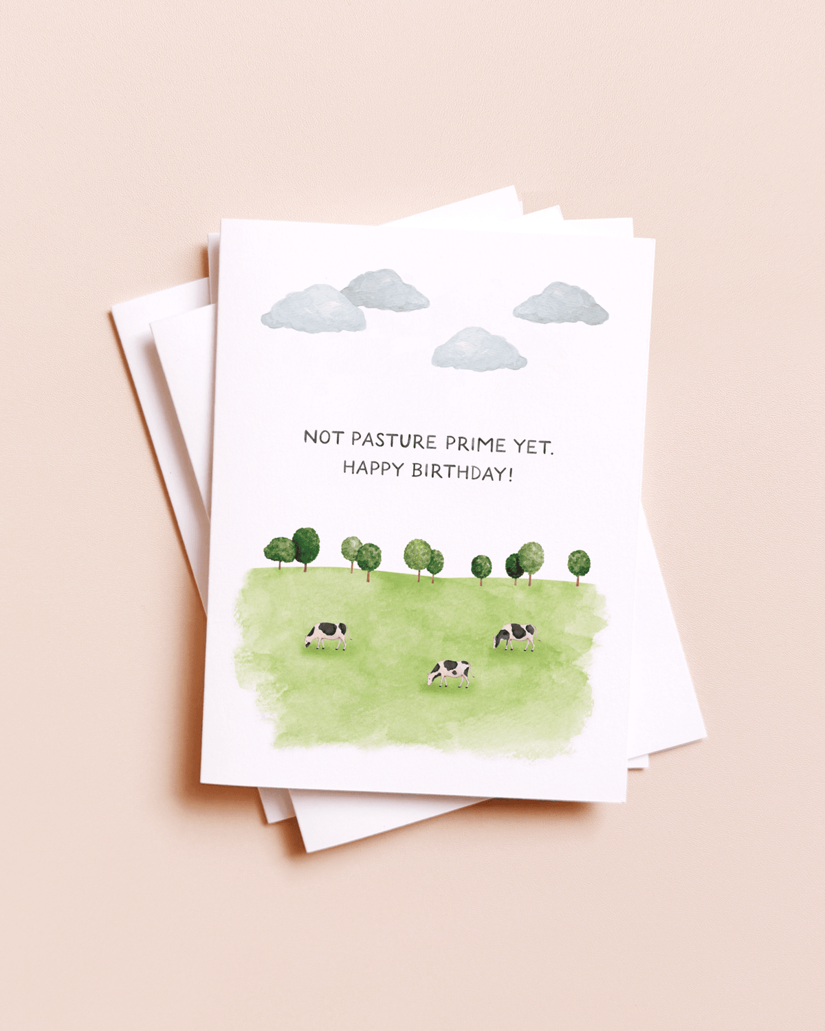 Not Past Your Prime Yet — Funny Cow Pasture Birthday Card - Dear John