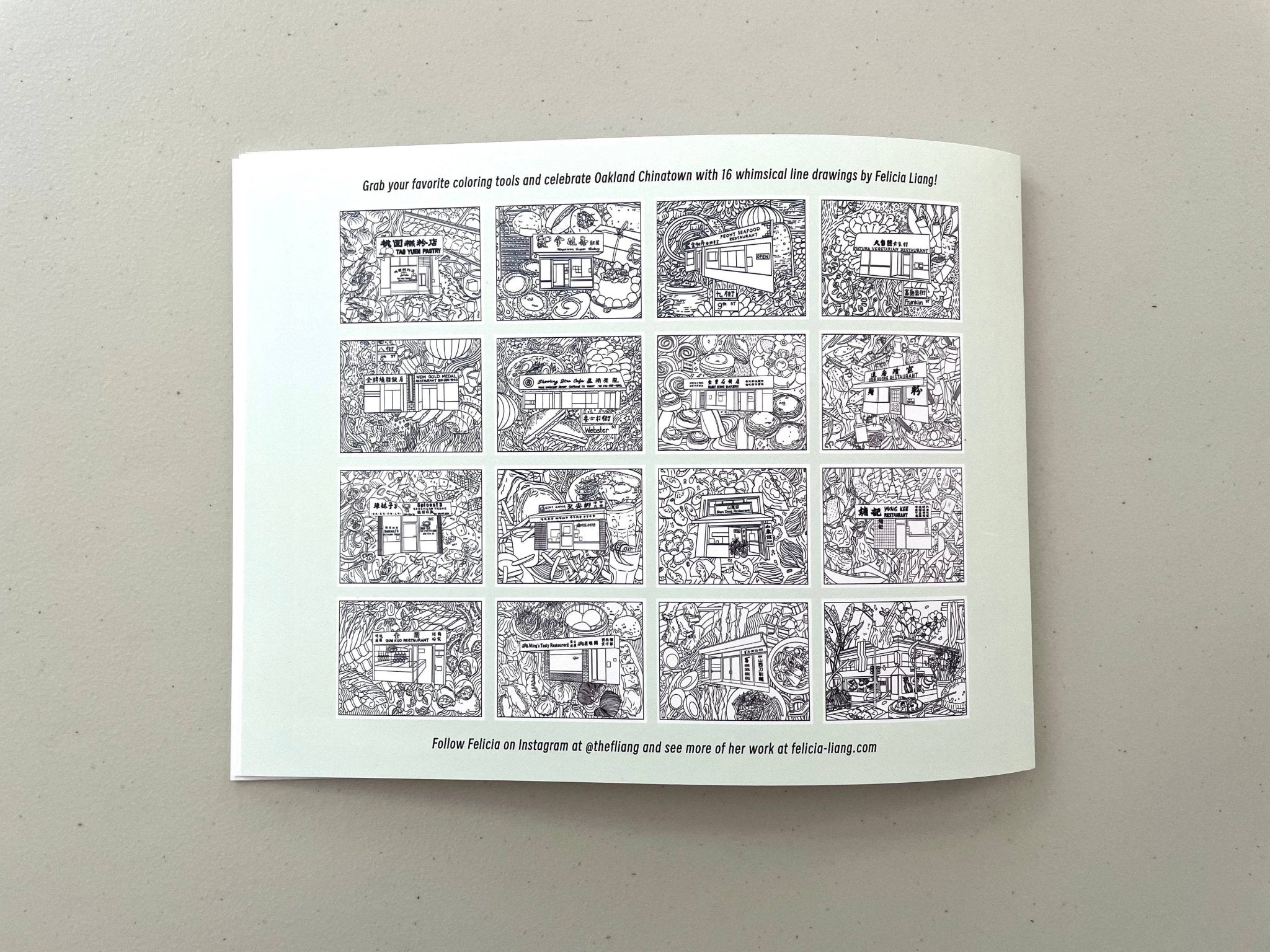 Oakland Chinatown Storefronts Coloring Book — 16 Pages by Felicia Liang (8.5" × 11" Landscape) - Dear John