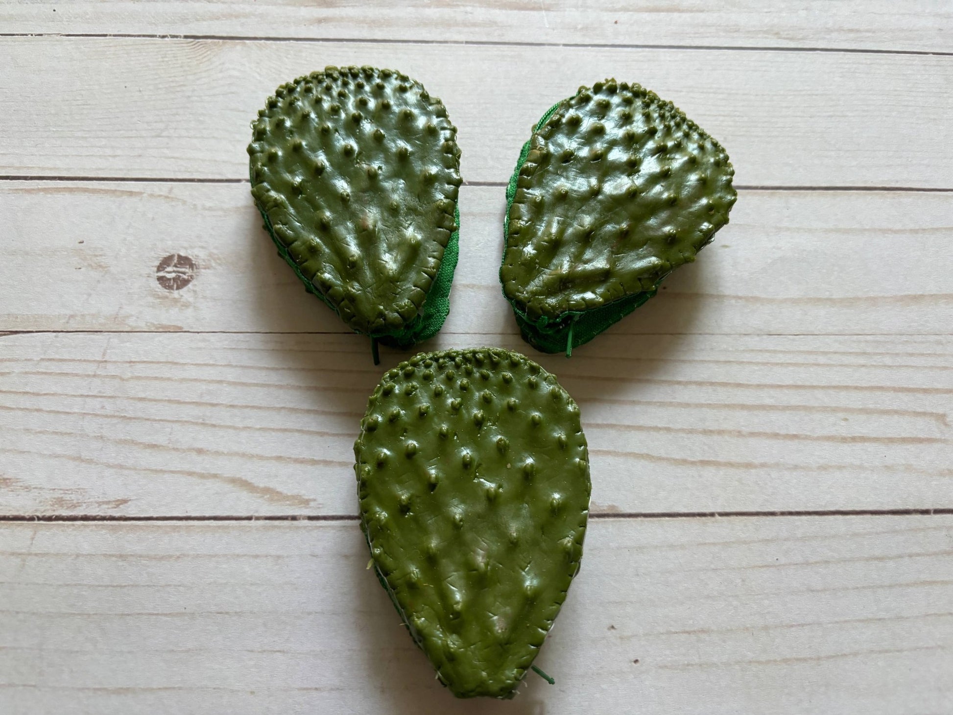 One Gag Gift Coin Purse Nopal Cactus - Dear John