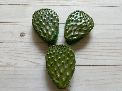 One Gag Gift Coin Purse Nopal Cactus - Dear John